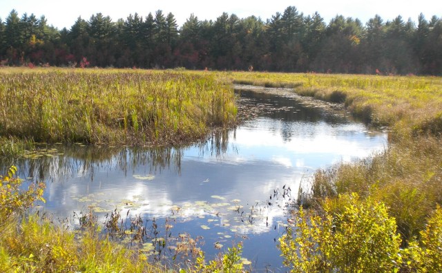 rock rec trail marsh